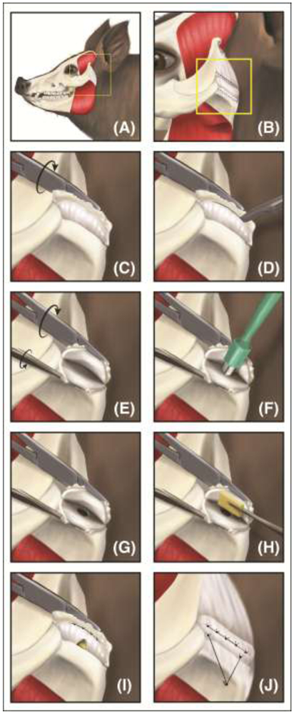 Figure 5: