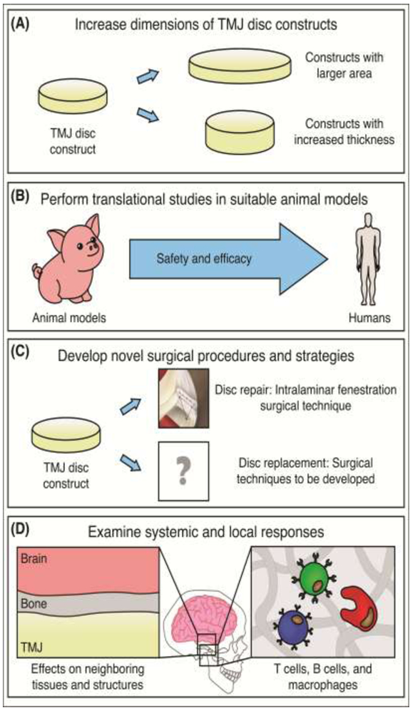 Figure 4: