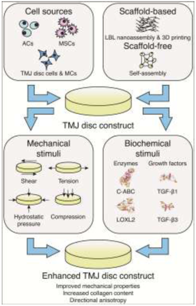 Figure 3: