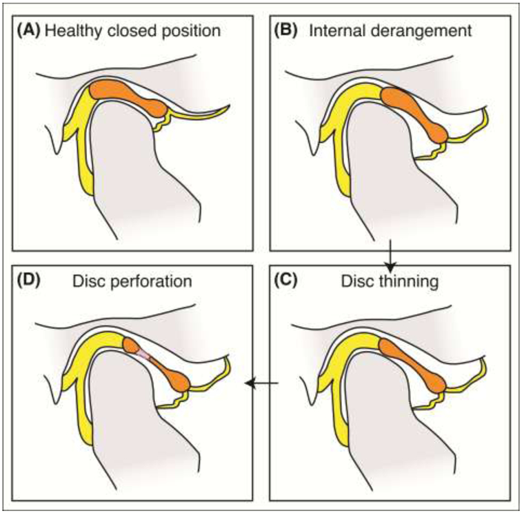 Figure 2: