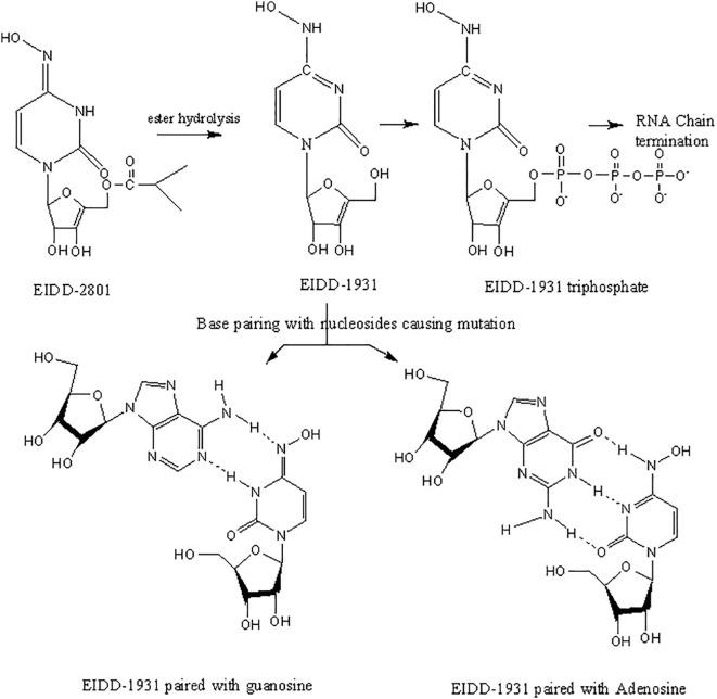 Fig. 10