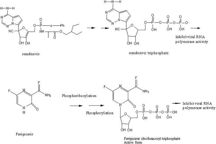 Fig. 11