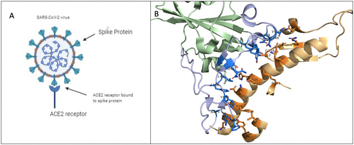 Fig. 9