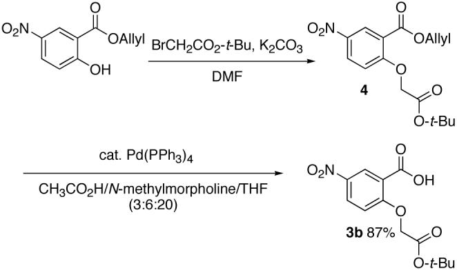 Scheme 2