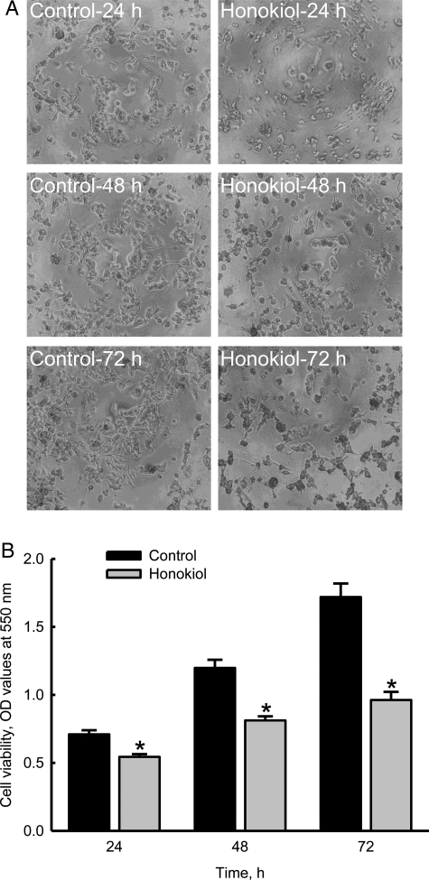 Fig. 3.