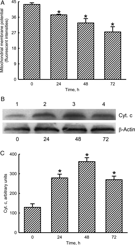 Fig. 6.