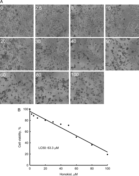 Fig. 2.