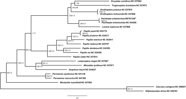 Fig 3