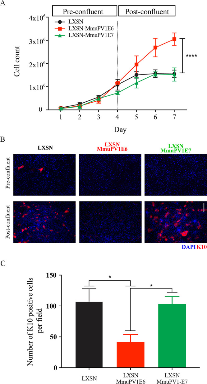 FIG 6