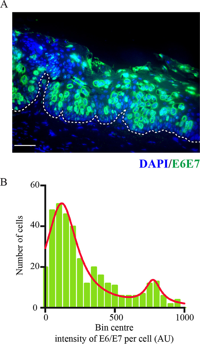 FIG 4