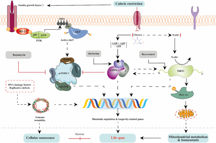 FIGURE 3