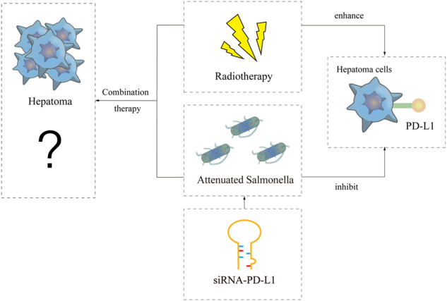 graphic file with name 41420_2023_1603_Figa_HTML.jpg