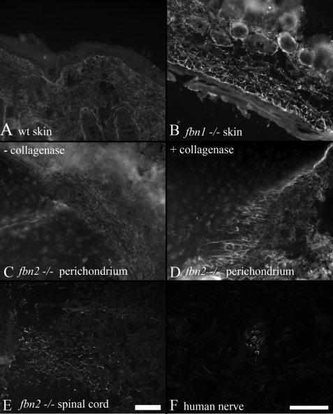 FIGURE 10.