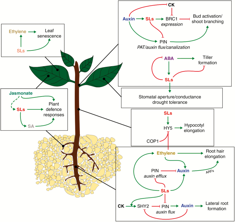 Fig. 6.