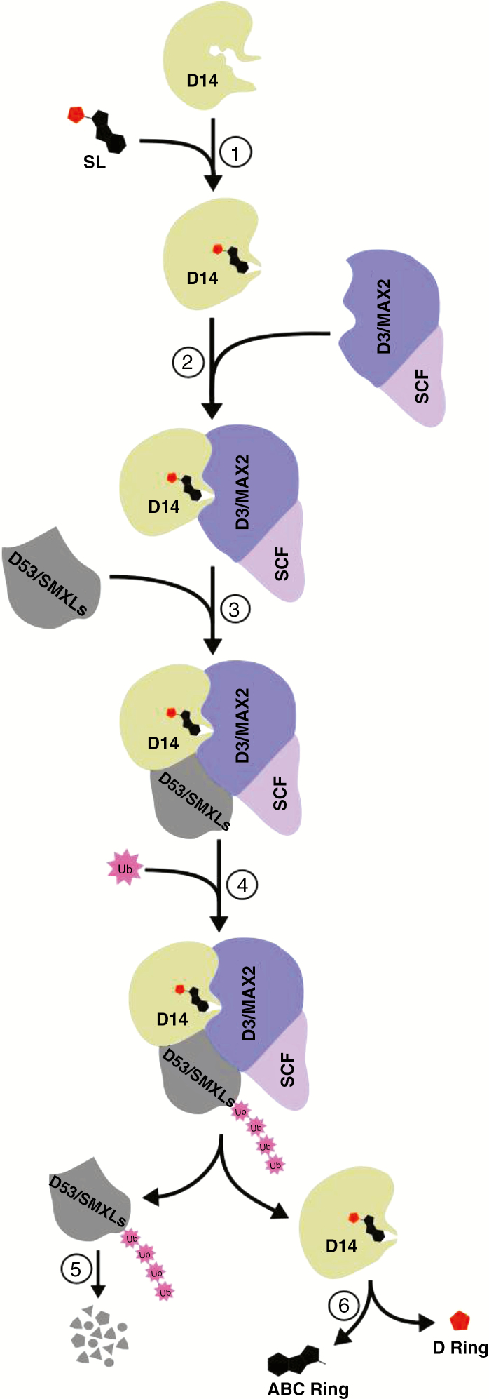 Fig. 4.