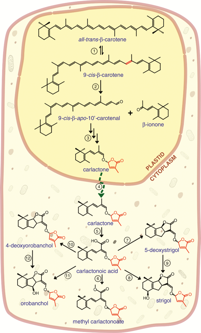 Fig. 3.