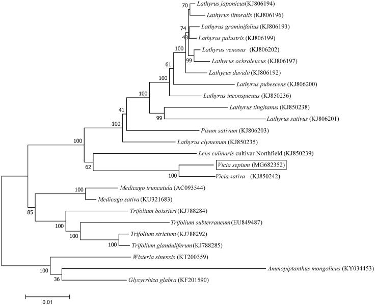 Figure 1.