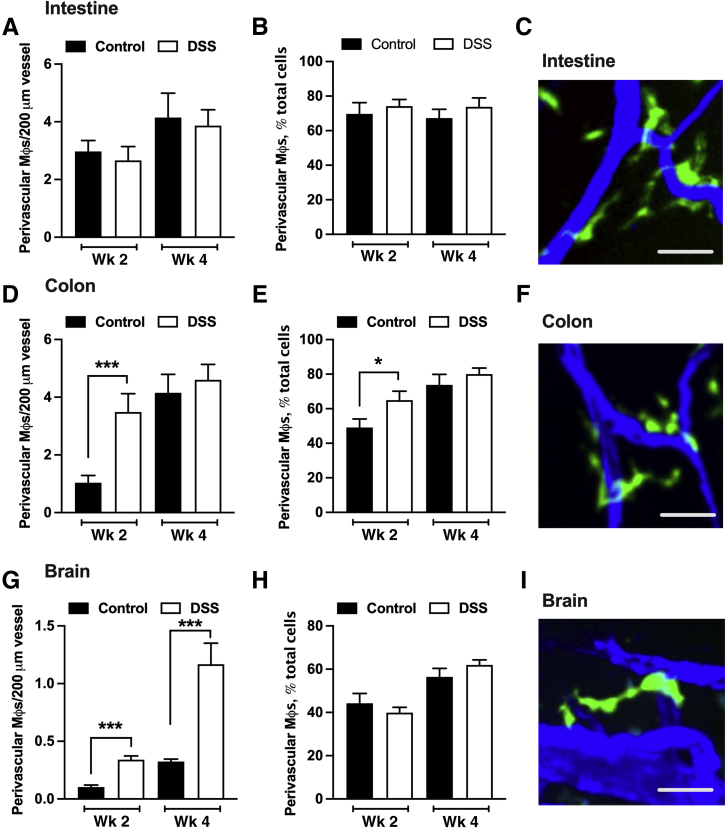 Figure 5