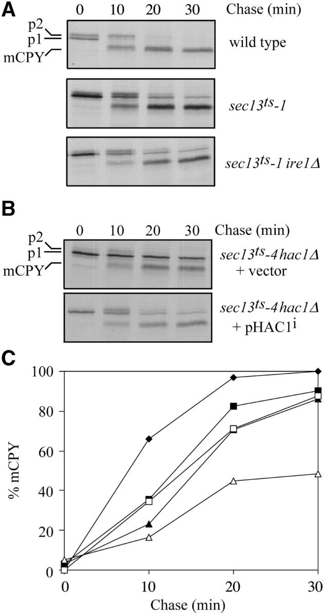 Figure 6.—