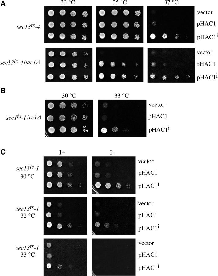 Figure 5.—