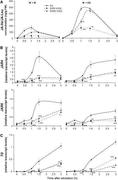 Figure 7.