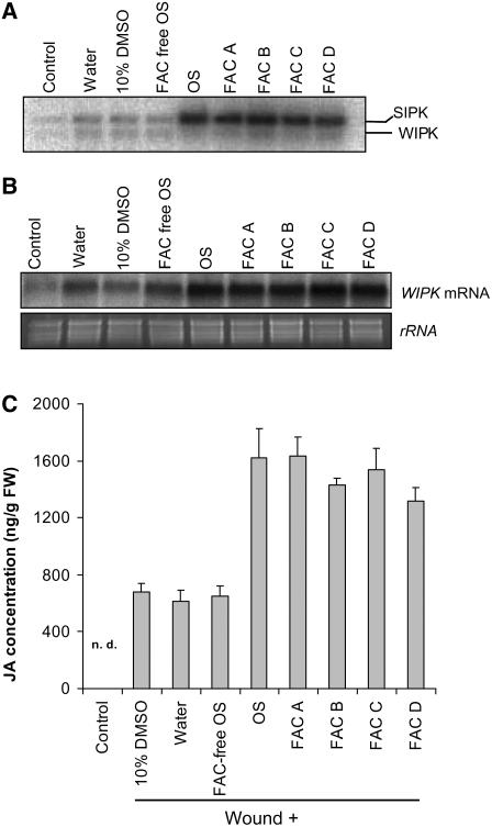 Figure 10.