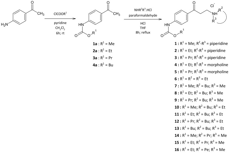 Scheme 1