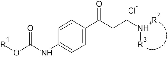 graphic file with name molecules-25-01751-i001.jpg