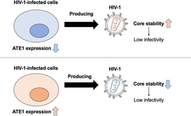 graphic file with name 12977_2021_574_Figa_HTML.jpg