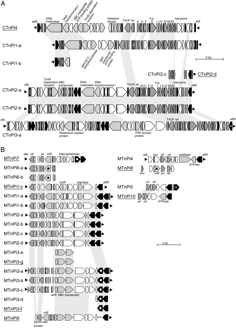 Figure 2.