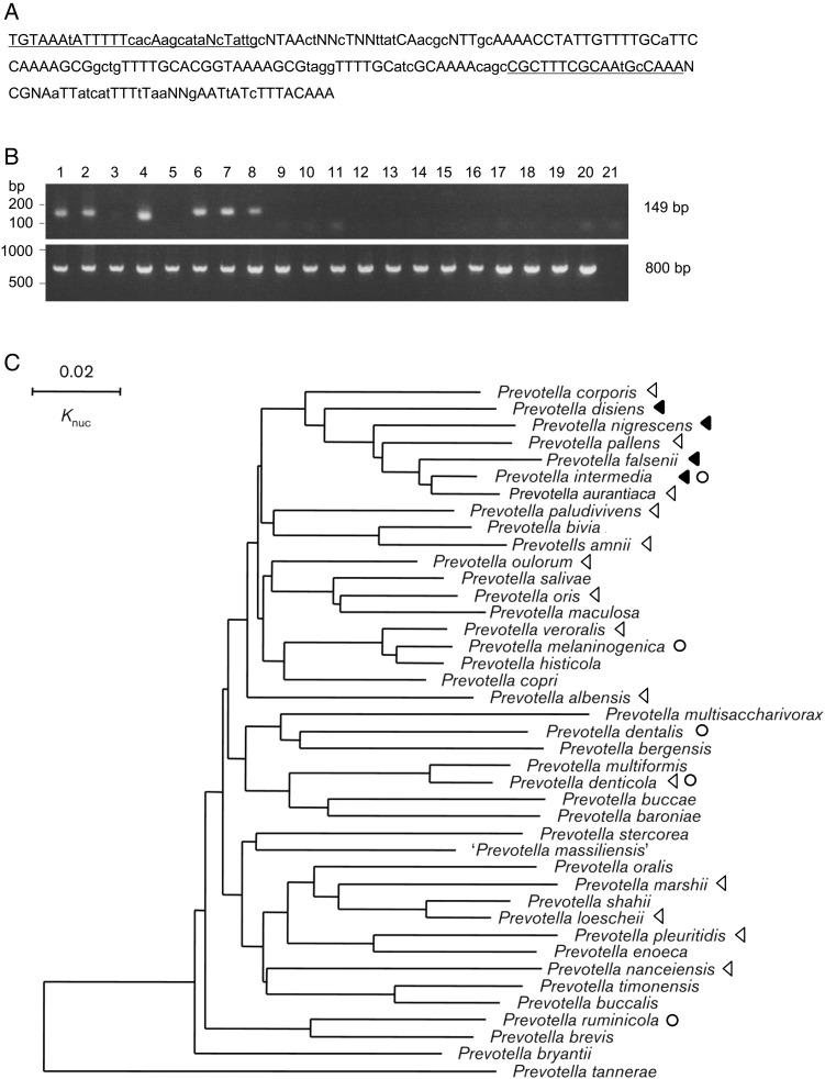 Figure 4.