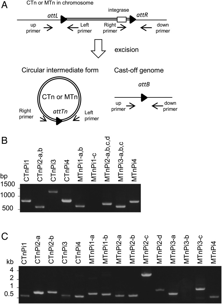 Figure 3.