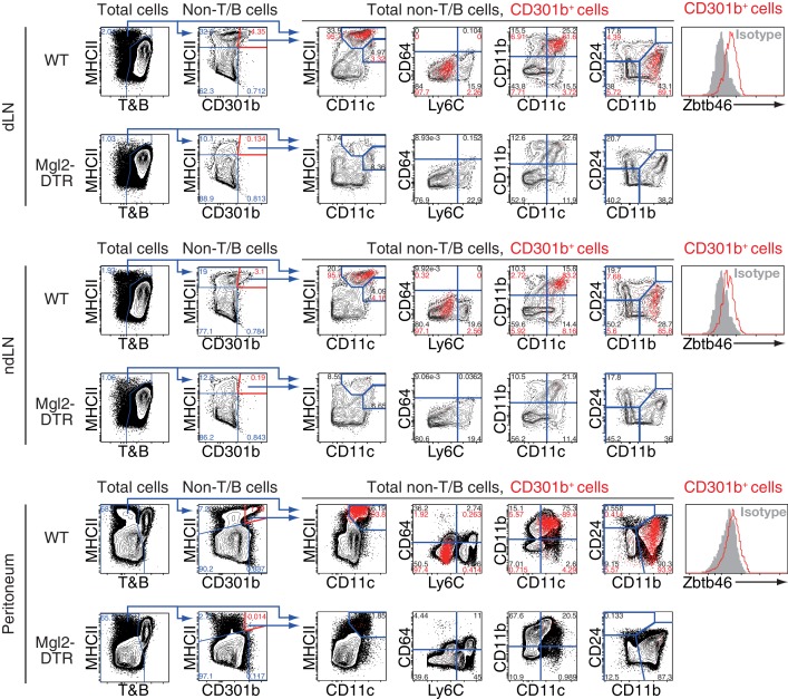 Figure 2—figure supplement 1.