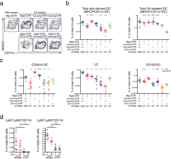 Figure 9—figure supplement 1.