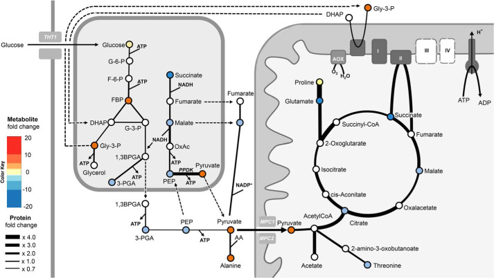 Figure 9.