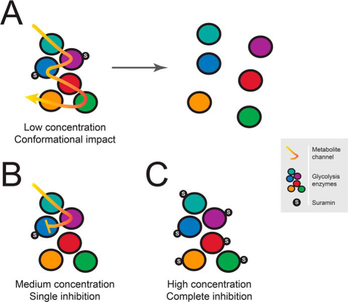 Figure 13.