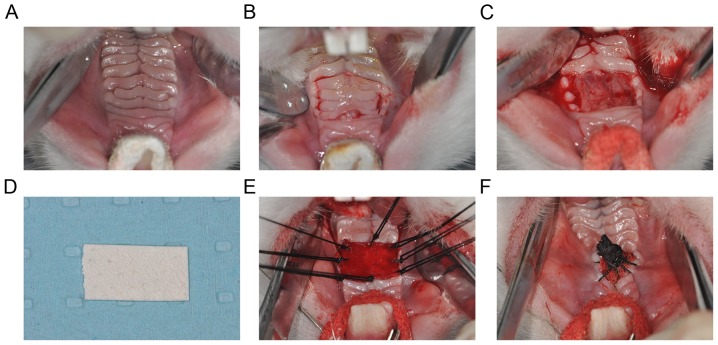 Figure 2.