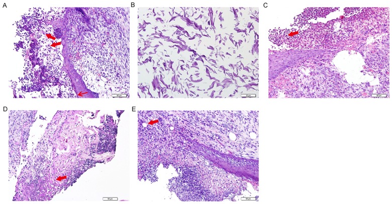 Figure 4.