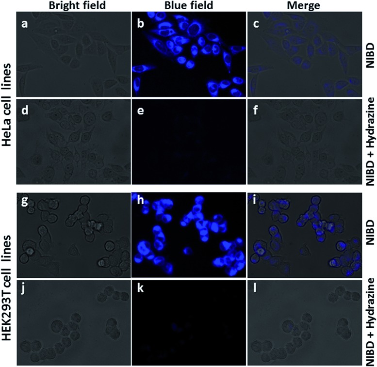 Fig. 10