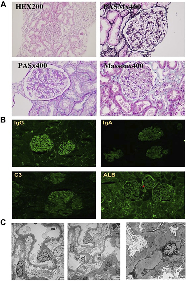 FIGURE 3