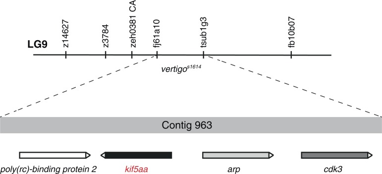 Figure 3—figure supplement 1.