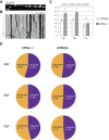 Figure 5—figure supplement 1.