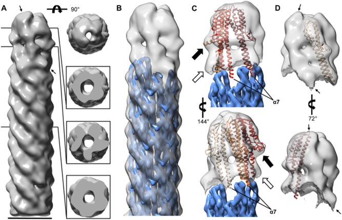 Fig. 4