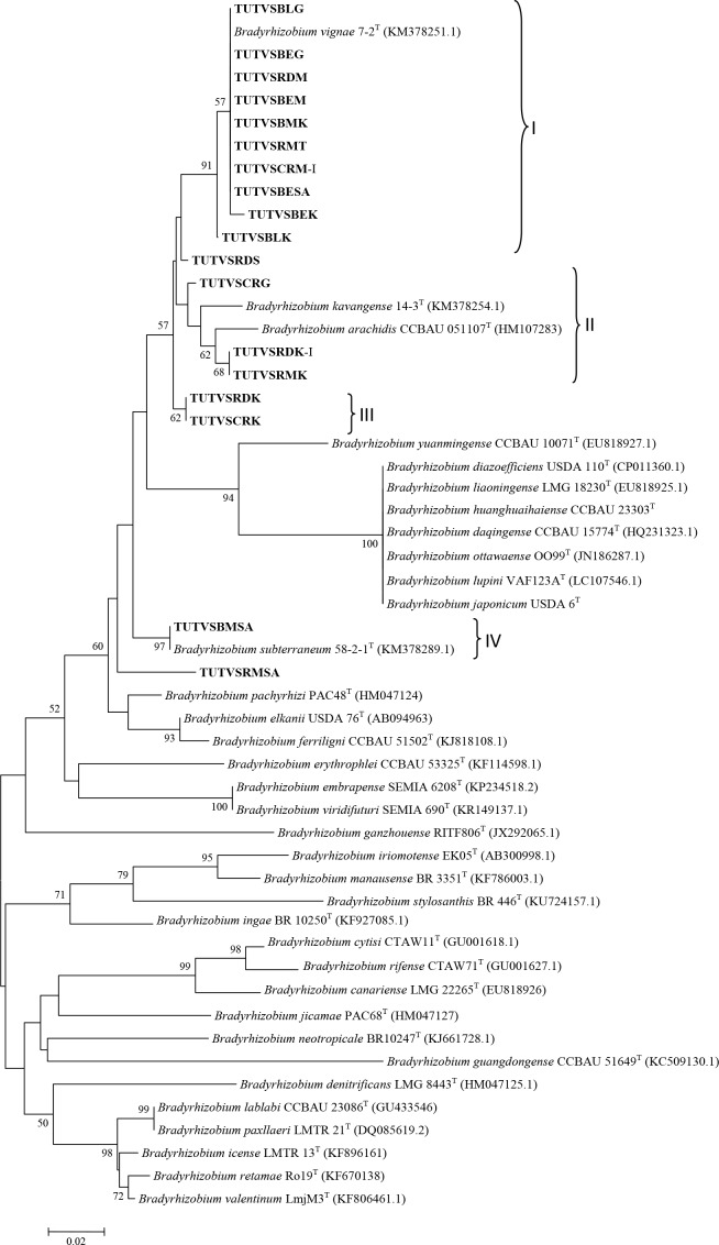 Fig 8