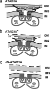 FIG. 10.