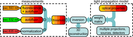 Fig. 2