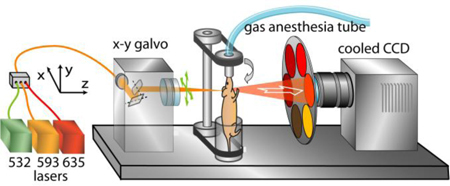 Fig. 1