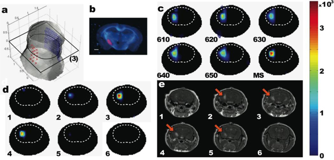 Fig. 6