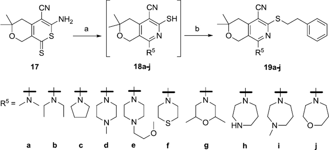 Scheme 5