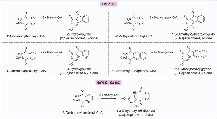 Figure 7.